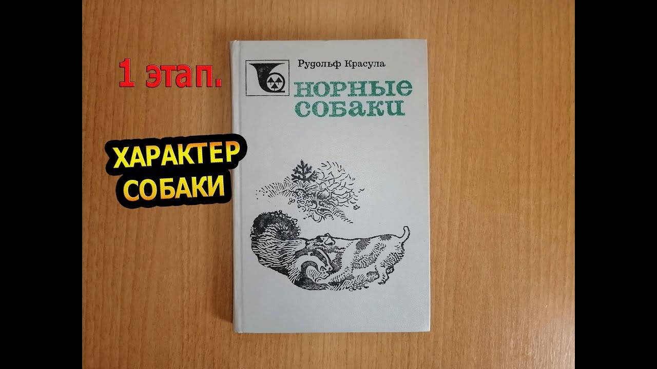 Норные собаки (Ягдтерьер) | Характеры собак