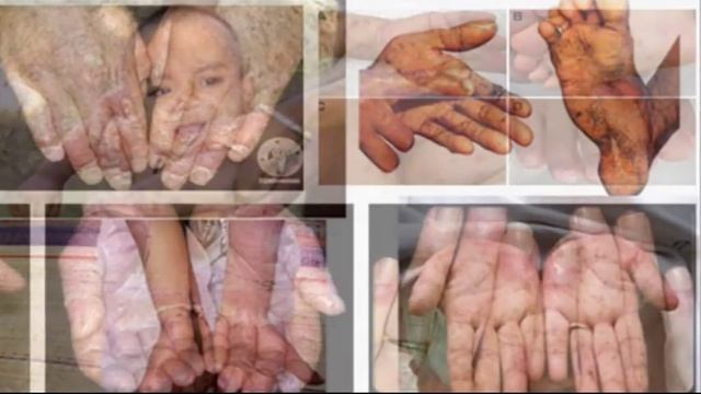 T29 benzen смотреть онлайн