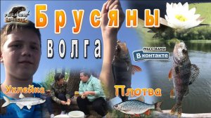 Рыбалка на ОСТРОВЕ!!! Ловим на КОЛЬЦО!!! Приключение Друзей!! Брусяны, Волга.