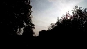 СЕМЬЯ КОЛЕСНИКОВЫХ. 7-я Колесниковых новые Влоги.