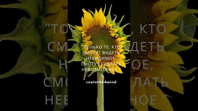 Вековая мудрость ,смотрим мысли великих людей вместе на канале @saint444wind