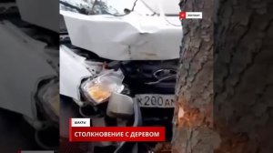 По улице Промышленная в Шахтах автомобиль влетел в дерево. 🫣