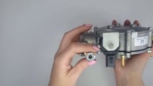 Редуктор Landi Renzo LI10 TURBO (пропан-бутан), 4-е пок., 215 л.с. (160кВт),  вход D6 (M10x1)