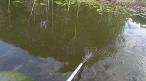 Рыбалка на китайскую накидку