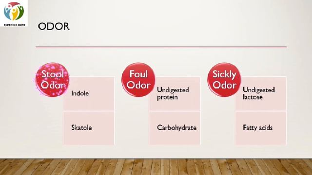 Feces Body Fluid Analysis (Part 2) // Physical,microscopy & chemical Analysis #EdelmanTest смотреть онлайн