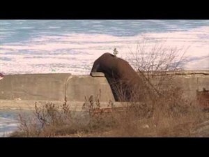 Гидигичское водохранилище становится всё опаснее