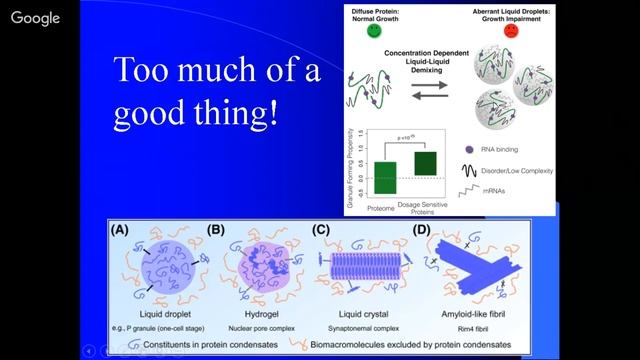 ALS TDP43 Newman Lecture смотреть онлайн