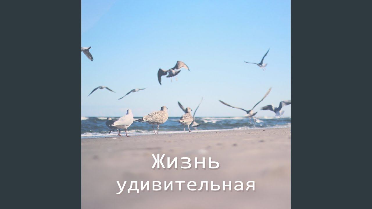 Длинная история