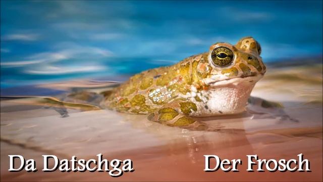 Tiere im österreichischen Dialekt - Animals in Austro Bavarian | Austrian German смотреть онлайн