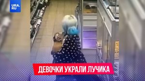 Две девочки сбежали из Москвы в Крым, украв кота Лучика из зоомагазина