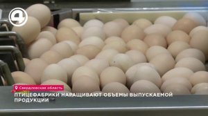 Птицефабрики наращивают объемы выпускаемой продукции