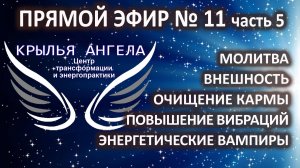 Прямой эфир №11 часть 5. Молитва. Внешность. Очищение кармы. Энергетические вампиры.