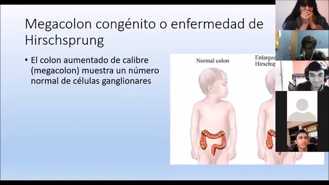 Embriología sistema alimentario ciego y apéndice смотреть онлайн