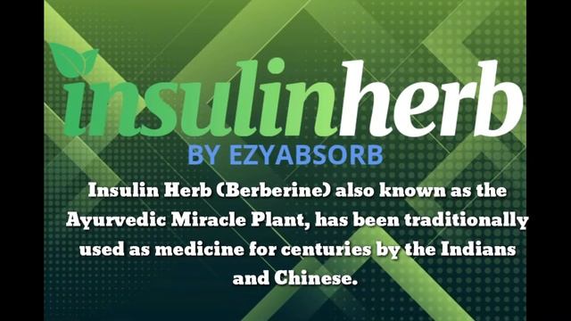 BERBERINE смотреть онлайн