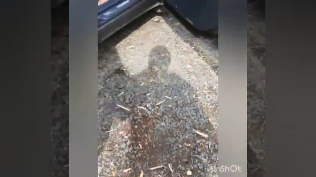 Отзыв Коврики из экокожи Lexus RX 3 поколение