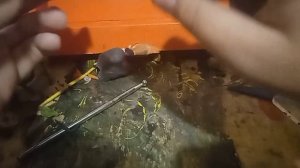 леплю астро туалет часть 1