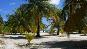 Попурри из песен The Beatles - The Fool On The Hill, Something, A Day In The Life, Ellow Submarine.