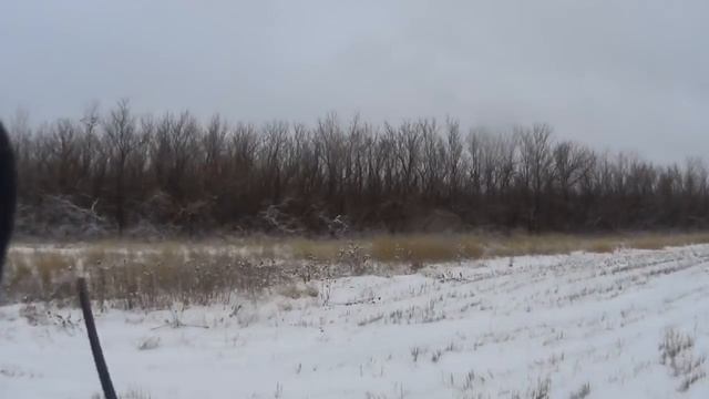 Охота на зайцев - Когда зайцы не жируют смотреть онлайн