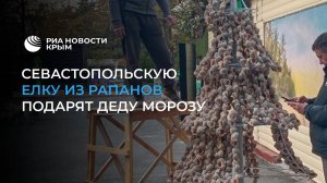 В Севастополе готовят морскую елку к Новому году