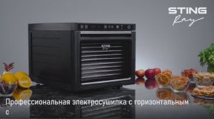 Электросушилка STINGRAY ST-FD710B