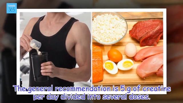 All About Creatine its Amazing Health Benefits - Canada 365 смотреть онлайн