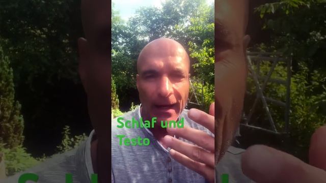 Schlaf und Testosteron смотреть онлайн