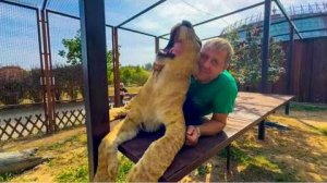 Лев Шерхан рядом с Олегом Зубковым УСПОКОИЛСЯ и научился прыгать на полки и колеса