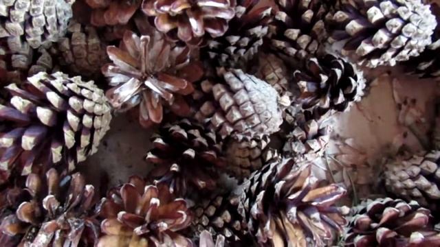 В. Безгодков. Надо как-то жить дальше, продолжить своё дело. смотреть онлайн