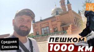 Самара - Москва.1080 км пешком с собакой. серия 23