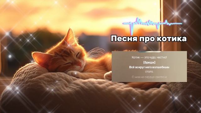Песня про котика