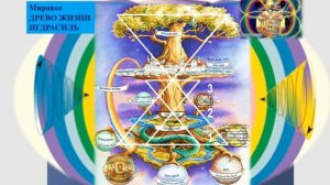 Сонастройка 03.11.2024 завершение форумов МаЭД и Митрограде