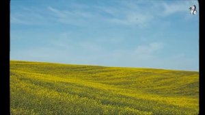 Her 86m2. #155 Calm music playlist for quiet life (study, reading, writing, relax)