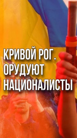 Что творят украинские националисты на малой родине Зеленского. Вы только посмотрите на это безумие