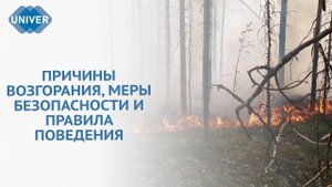 ЧТО ДЕЛАТЬ ПРИ ПОЖАРЕ В ЛЕСУ?