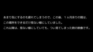 組織的ストーキング被害者の日常の記録 part1　2013-2015  Organized stalking,Gang stalking,Cointelpro?