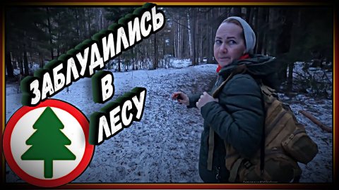 Заблудились в лесу #сезонконтентаRUTUBE