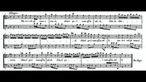 Crede l'uom ch'egli riposi (Il Trionfo del Tempo - G.F. Händel) Score Animation