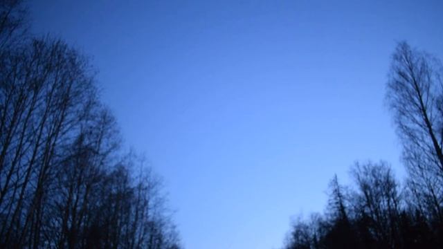 На тяге с дочкой. Охота на вальдшнепа без выстрелов