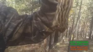 Охота на пернатых с пневматикой )
Неожиданный трофей😱)