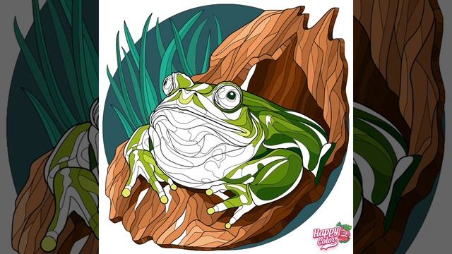 Frog Mandala Video Artwork 🐸
