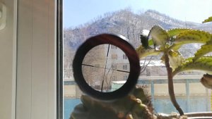 прицел липерс 3-9х32 2