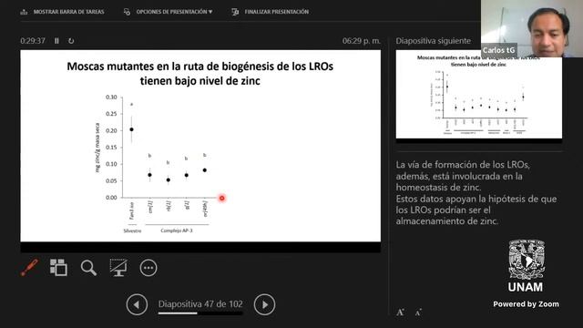 Drosophila melanogaster, pequeña gran rock star en la fisiología de los metales смотреть онлайн