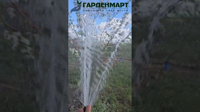 Как защитить растения от заморозков #возвратныезаморозки  #советысадоводам