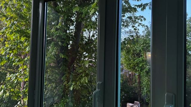 Звуки из окна дома в селе утром