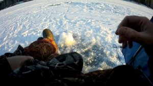 Подлещик, чебак на чёртика, мухомормыш, гвоздекубик