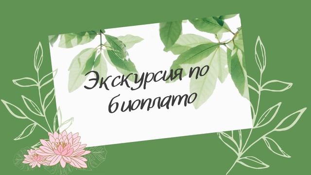 Экскурсия по биоплато Сквера Олонецкого проезда