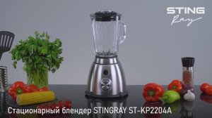 Блендер STINGRAY ST-KP2204A