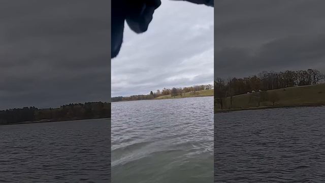 Три заброса, три матроса!  #norstream #норстрим  #fishing #спиннинг #рыбалка