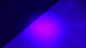 Как узнать где метит кот? DuftaLight - ультрафиолетовый фонарик. DUFTA (Дуфта).