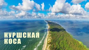 Куршская коса. Калининградская область.